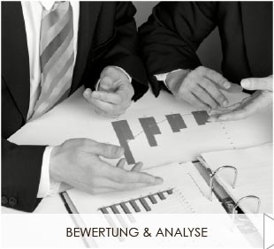 Unsere Dienstleistungen - Bewertung & Analyse